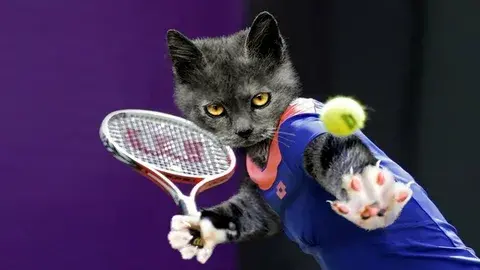 Gesi Sport Cat